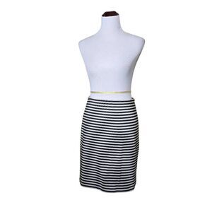 Talbots Pencil Mini Striped Skirt Size 4 Petite